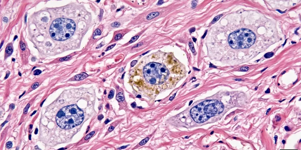 Možemo li živjeti 150 godina? Znanost o produljenju ljudskog života